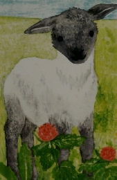 こどものとも　3　こひつじ とことこ