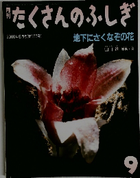 たくさんのふしぎ 2000年9月号 