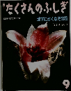 たくさんのふしぎ 2000年9月号 