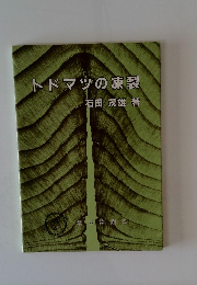 トドマツの凍裂