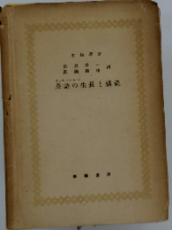 英語の生長と構造