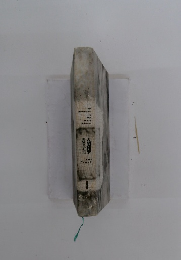 養老孟司人間科学