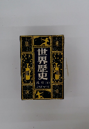 世界歴史 現代 (下)