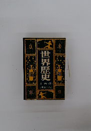 世界歴史　中世 (下)