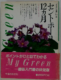 セントポーリア12カ月  必ず花が咲く育て方