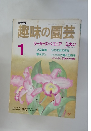 趣味の園芸　1987年1月号