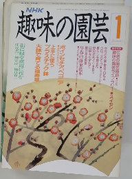 趣味の園芸　1991年1月号