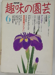 趣味の園芸　1991年6月号