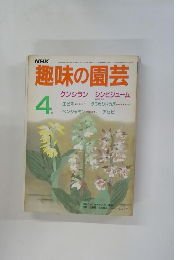 趣味の園芸　クンシラン シンビジューム 