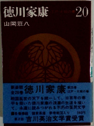 徳川家康20　江戸大坂の巻