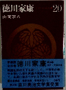 徳川家康20　江戸大坂の巻