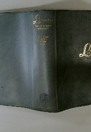 Luminous ENGLISH-JAPANESE DICTIONARY