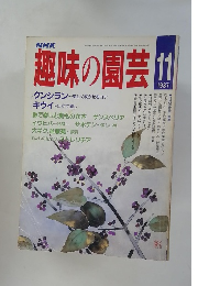 趣味の園芸　1987年11月号