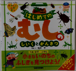 はじめてのむしのしいくとかんさつ 