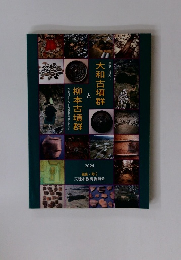 大和古墳群と柳本古墳群