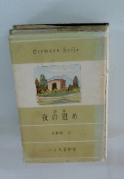 詩集 夜の慰め