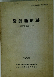 袋低地遺跡　自然科学編 1