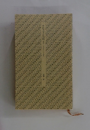 テロリズムの罠