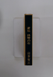 新篇路傍の石