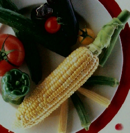 素材クッキング 12　実野菜