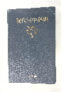 現代日中辞典
