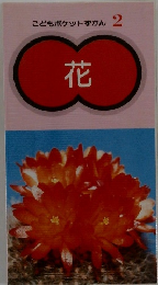 こどもポケットずかん 2　花