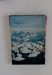 鳥類の図鑑　新学習図鑑シリーズ 4