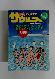 NEWパンチザウルス 1989年6月27日号