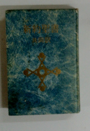 新約聖書　共同訳