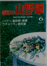 趣味のの山野草 1993年6月号　No.155