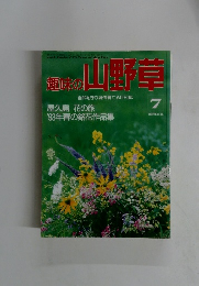 超山野草 1993年7月号　No.156