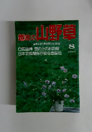 趣味の山野草　1993年8月号　No.157