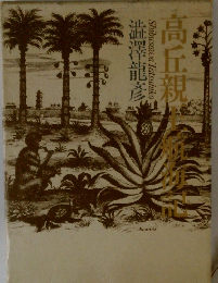 高丘親王航海記