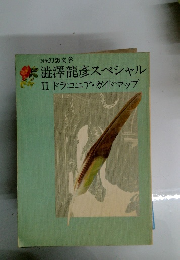 幻想文学　澁澤龍彦スペシャル II ドラコニア・ガイドマップ