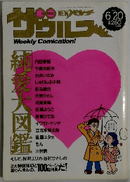 NEW パンチザウルス　1989年6月20日号