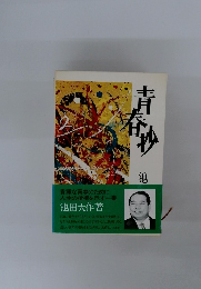 青春抄