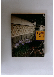 ふるさとの旅路 4　萩 津和野 山口