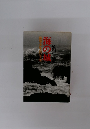 海の城　海軍少年兵の手記