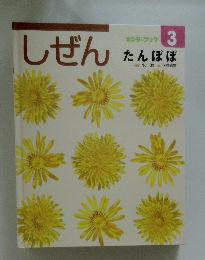 しぜん3　たんぽぽ