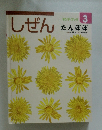 しぜん3　たんぽぽ