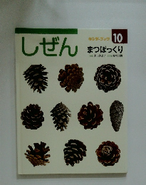 しぜん　キンダーブック 10 まつぼっくり