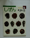 しぜん　キンダーブック 10 まつぼっくり