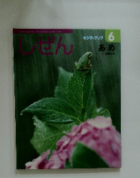 しぜん　キンダーブック 6 あめ