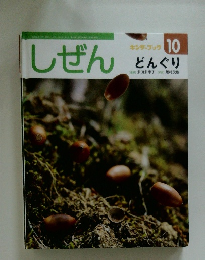 しぜん　10　どんぐり