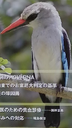 日本医事新報　2011年11/12号　No.4568