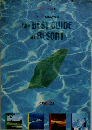 the BEST GUIDE of RESORT
