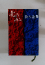 北の詩人