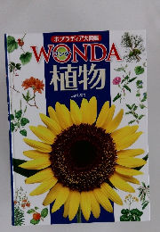 WONDA植物