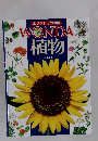 WONDA植物