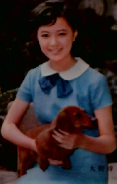 愛玩犬入門ー種類と飼い方から美容まで